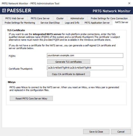 NATS Server Tab NATS Server Tab